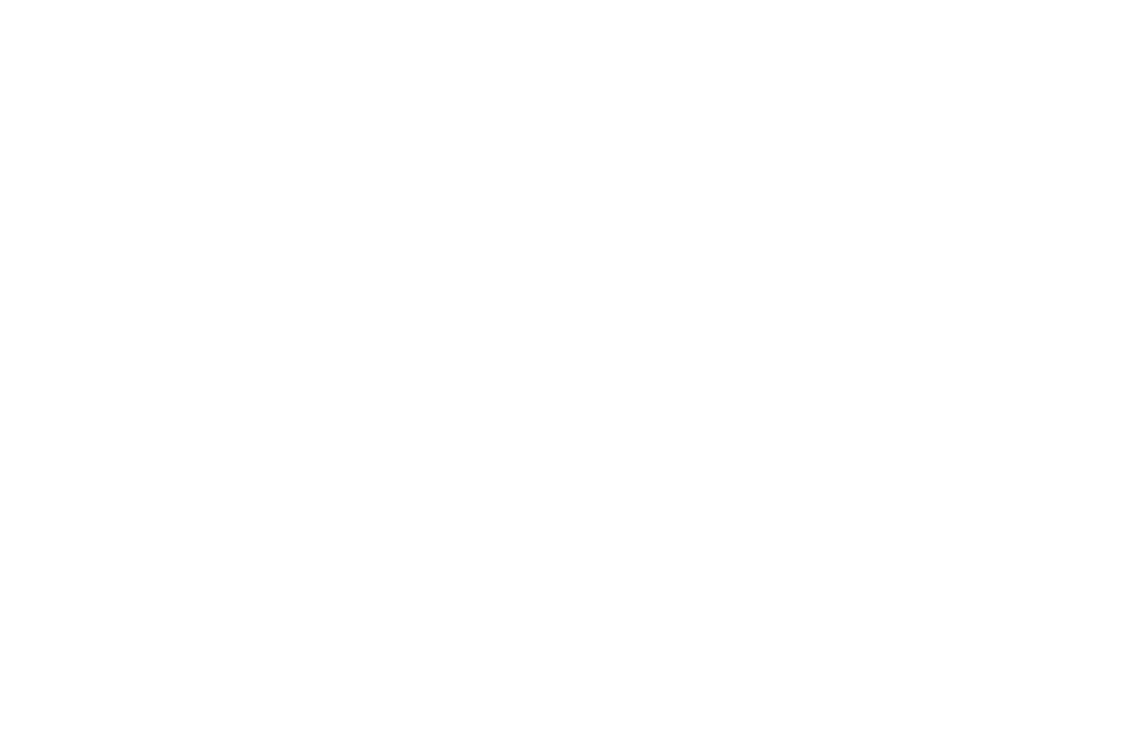OFFICIAL SELECTION - American Documentary And Animation Film Festival and Film Fund - 2024
