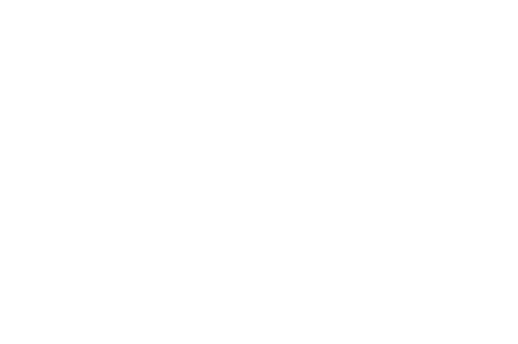OFFICIAL SELECTION - Dispatches of War - 2024