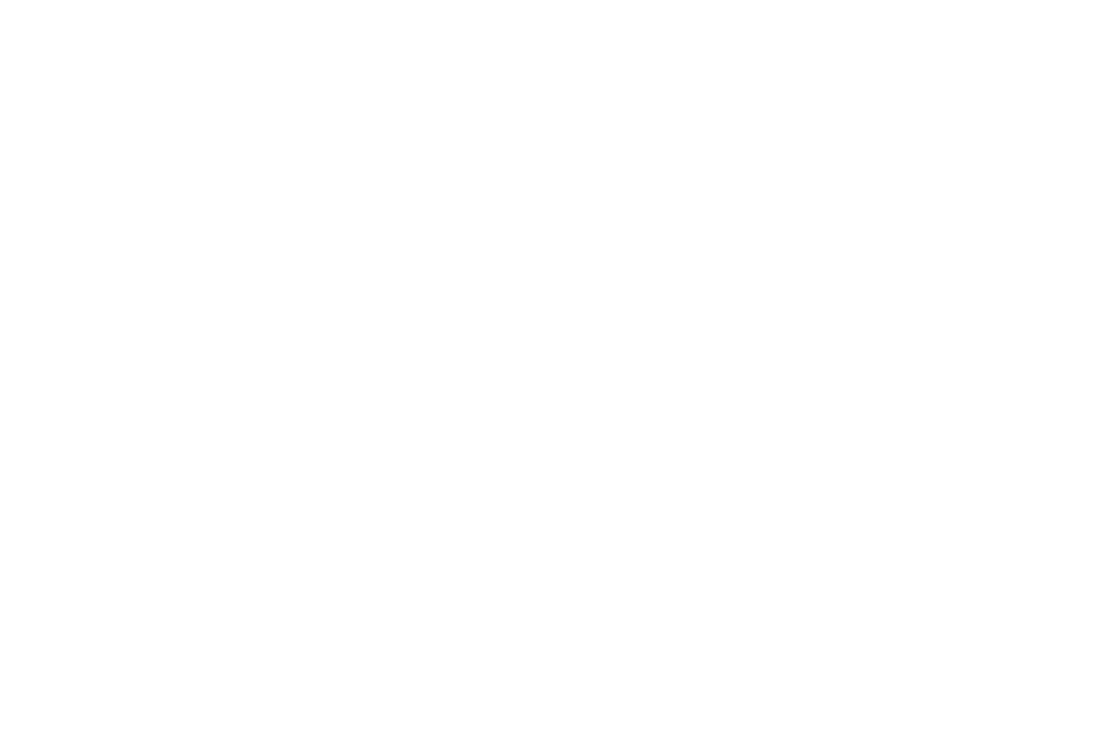Semi-Finalist - Flickers Rhode Island International Film Festival - 2024