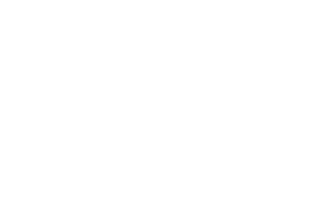 Finalist - Canada Shorts - Canadian International Short Film Fest. - 2024