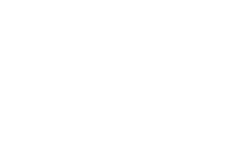 OFFICIAL SELECTION - Onyko Films Awards - 2024