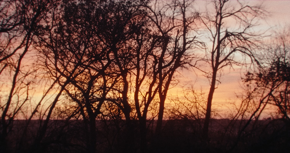 1_SHE_1pass_01_01_50_02